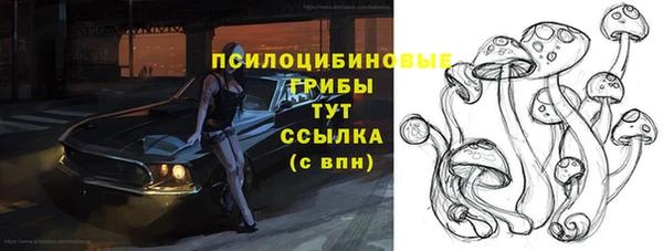 COCAINE Гусиноозёрск