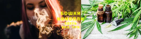 прущие крисы Гусь-Хрустальный