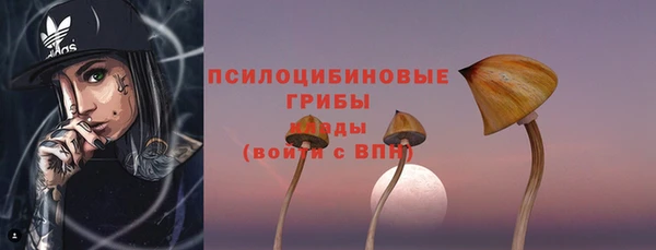 COCAINE Гусиноозёрск