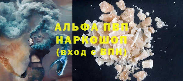 прущий лед Гусев