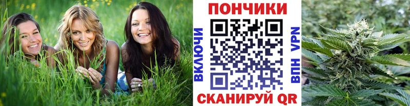 сколько стоит  Перевоз  Шишки марихуана Amnesia 